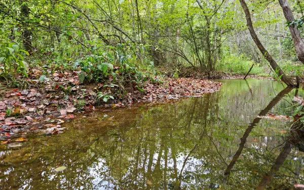 Suches, GA 30572,1955 Cavender Gap Road