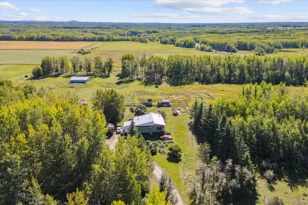 6219 Township Road 490, Rural Brazeau County, AB T0E 1Z0