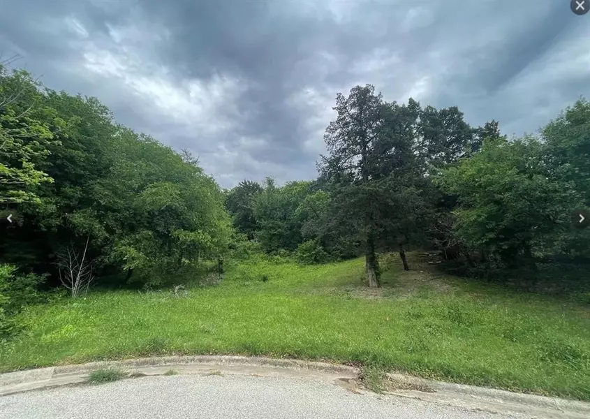 1703 Hidden Canyon Loop, Cedar Hill, TX 75104