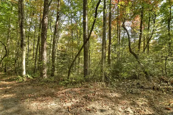 Mineral Bluff, GA 30513,5.96 AC Old Ridge Road