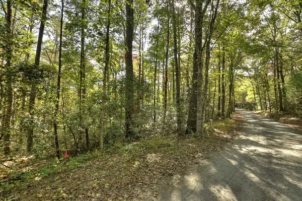 Mineral Bluff, GA 30513,5.96 AC Old Ridge Road