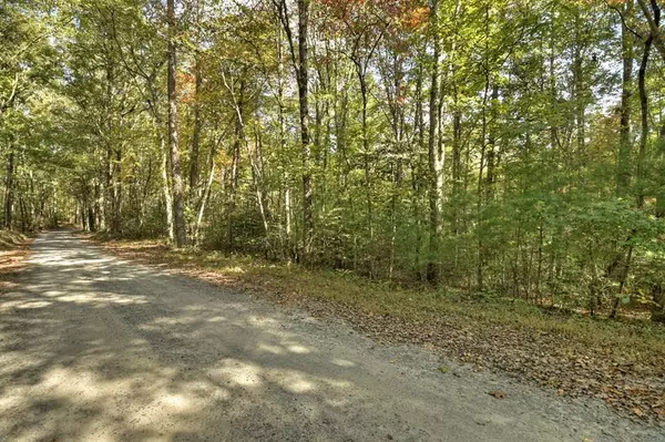 Mineral Bluff, GA 30513,5.96 AC Old Ridge Road