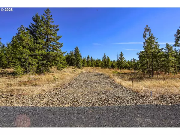 Goldendale, WA 98620,0 Ranger Rd - Lot 4 #4