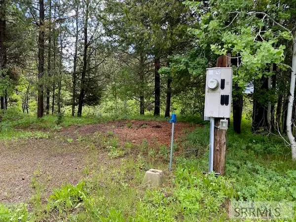 Island Park, ID 83429,4065 Yale Creek Road