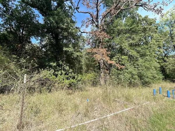 Streetman, TX 75859,Lot 166 Stonewall Drive