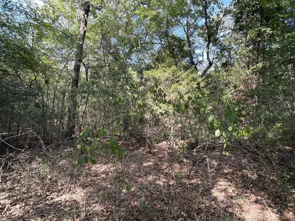 Streetman, TX 75859,Lot 166 Stonewall Drive