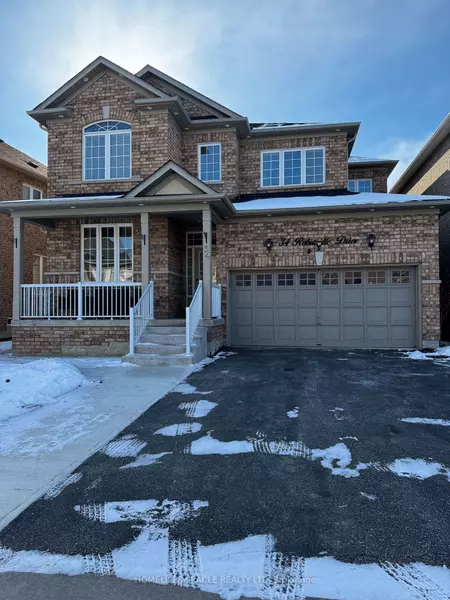 34 Robitaille DR #Bsmt, Brampton, ON L6P 3Z2