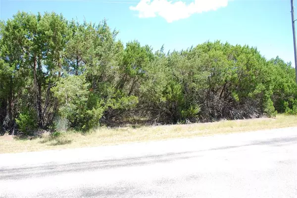 8183 Cedar Crest Drive, Whitney, TX 76692