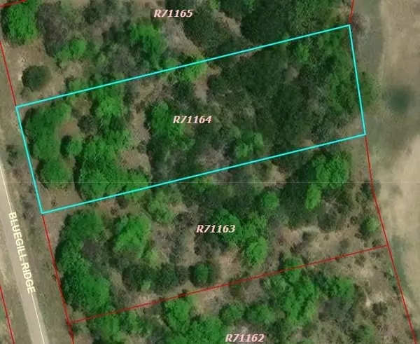 Bluff Dale, TX 76433,1015 Bluegill Ridge