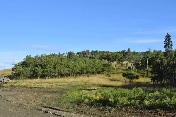 Rural Foothills County, AB T0L 1W4,Lot 13 Whiskey Springs HL West