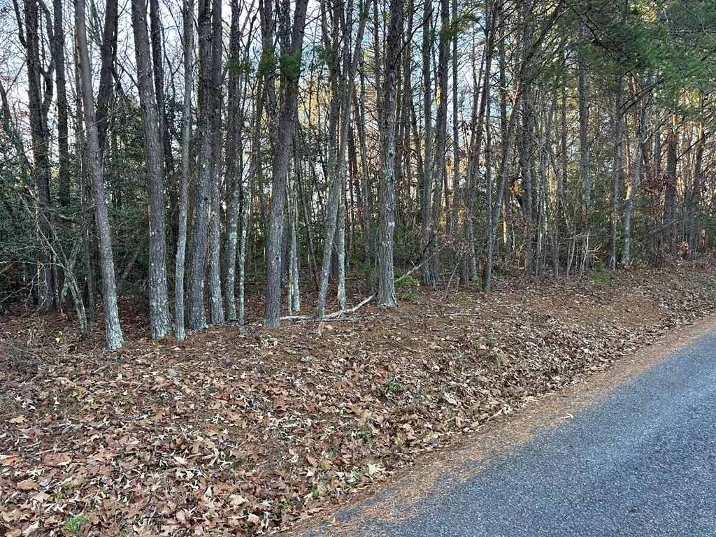 Blairsville, GA 30512,Lot 9 Tombstone Drive