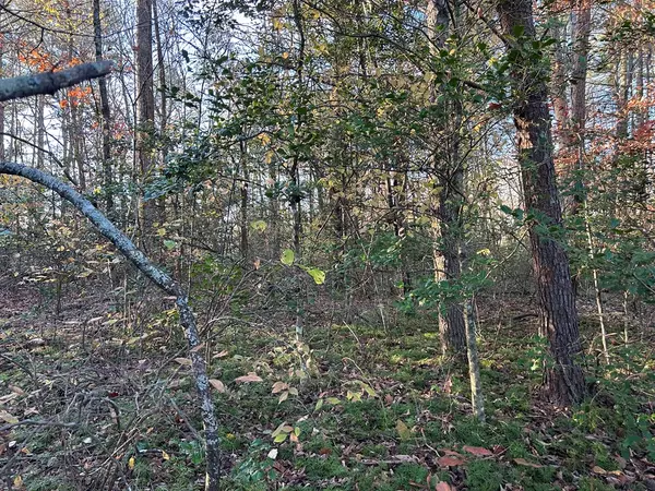 Blairsville, GA 30512,Lot 7 Tombstone Drive