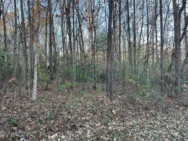 Blairsville, GA 30512,Lot 9 Tombstone Drive