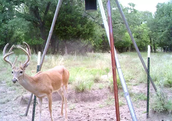 Springtown, TX 76082,TBD Cr-3657