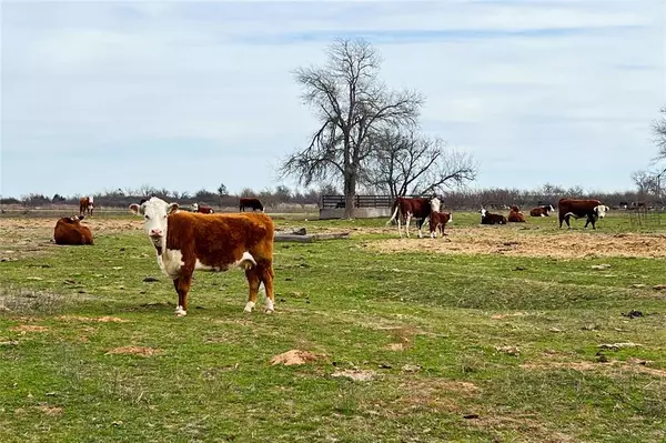 Vernon, TX 76384,TBD County Road 105 North