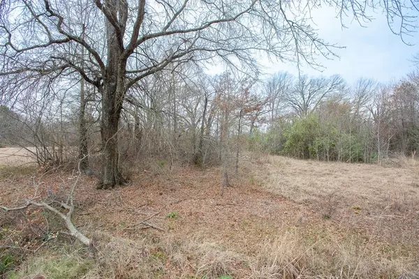 Mabank, TX 75156,TBD Lazy Launch Lane