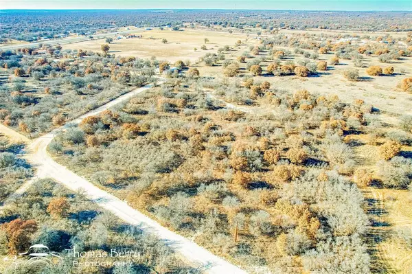 Hawley, TX 79525,2310 Private Road 334