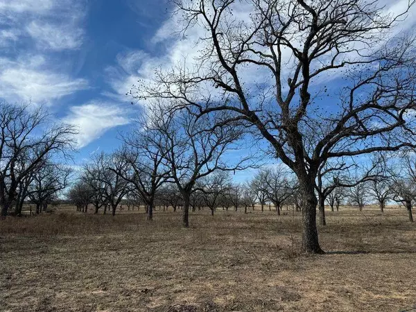 Carbon, TX 76448,TBD Highway 6