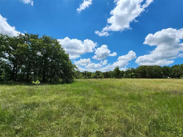 Carbon, TX 76435,TBD CR 183