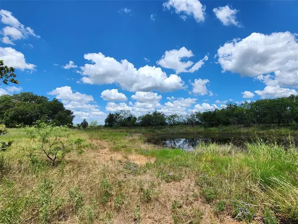 Carbon, TX 76435,TBD CR 183