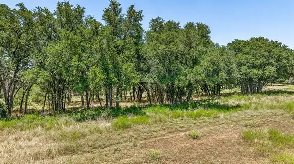 Carlton, TX 76436,TBD PR 1272