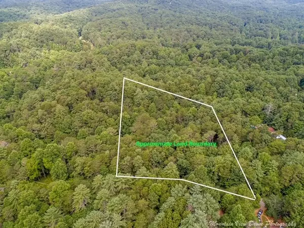 Ellijay, GA 30540,lot #76 Old Miller Rock Road