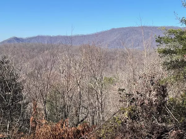 Lot 37 Sky View Drive, Hayesville, NC 28904