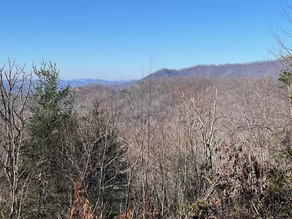 Hayesville, NC 28904,Lot 37 Sky View Drive