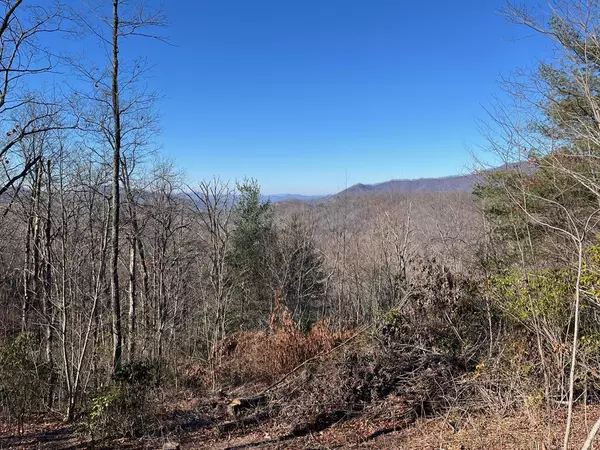 Hayesville, NC 28904,Lot 37 Sky View Drive