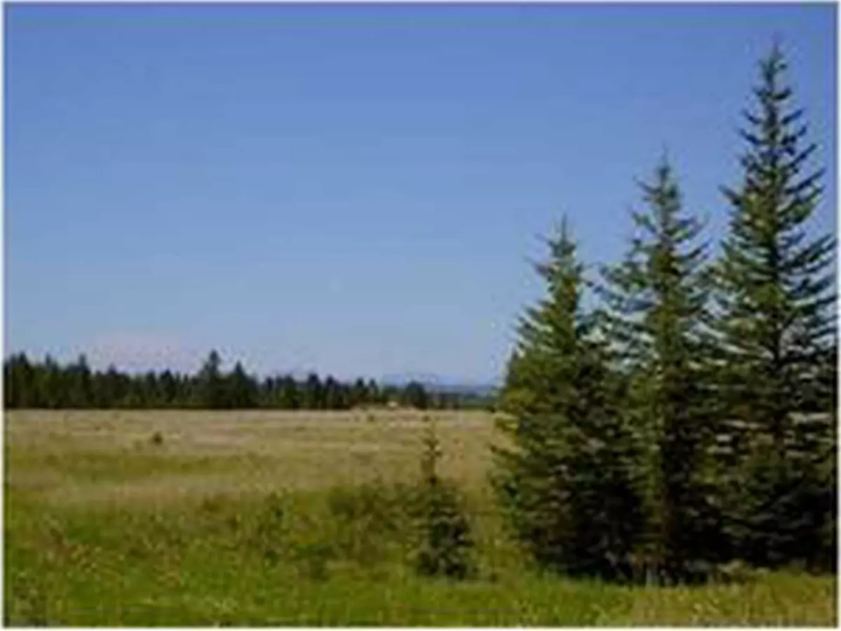 Rural Mountain View County, AB T0G 1X0,Range Road 55