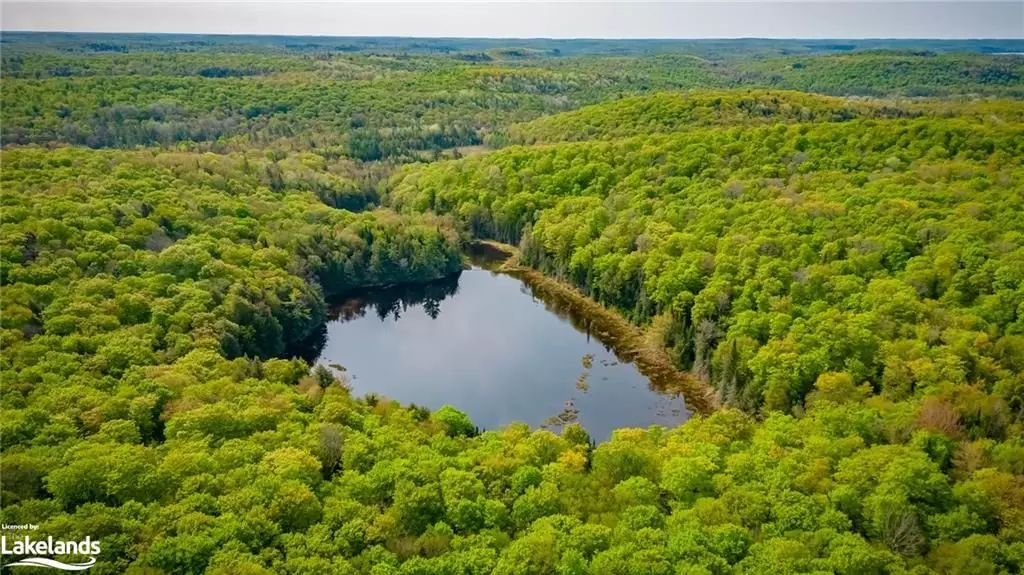 Lake Of Bays, ON P0A 1H0,0 ANGLE LAKE RD