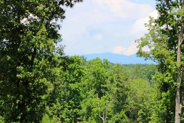 Lot 122 High River Crossing, Ellijay, GA 30540