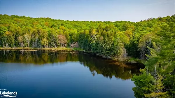 Lake Of Bays, ON P0A 1H0,0 ANGLE LAKE RD