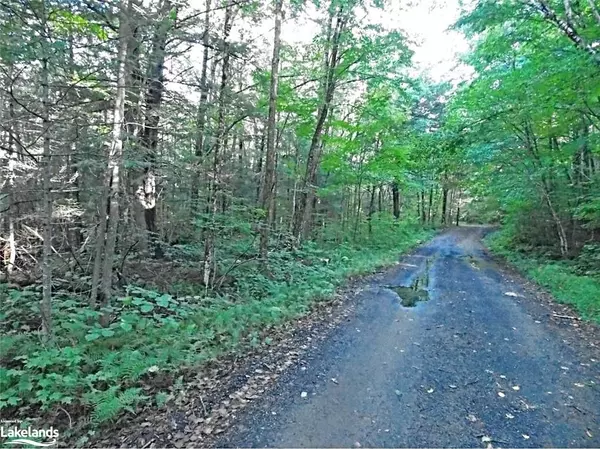 Lake Of Bays, ON P0A 1H0,0 ANGLE LAKE RD