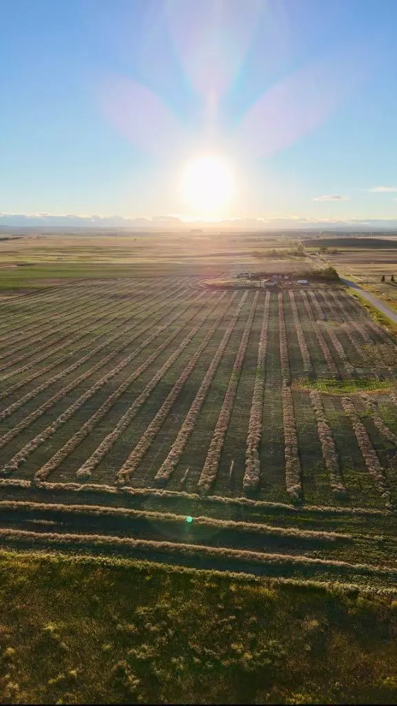 Rural Rocky View County, AB T1X0J6,284199 Township Road 224