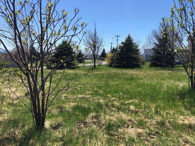 Stephenville, NL A2N 2W2,65 Ohio Drive