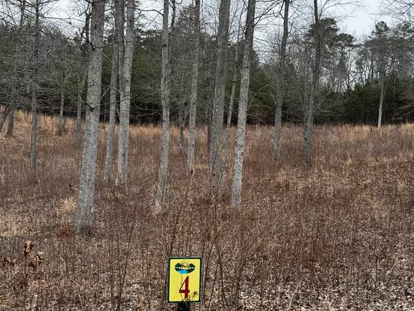 Lot 4 Arbor Creek Trail, Mineral Bluff, GA 30559