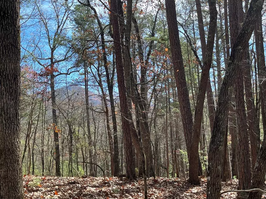 Morganton, GA 30560,Lot 69 Tipton Springs Road