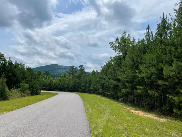 Blairsville, GA 30512,LOT 41 NORTHSHORE