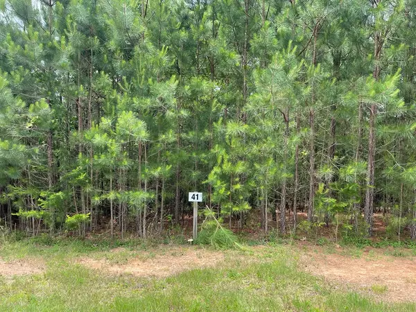 Blairsville, GA 30512,LOT 41 NORTHSHORE