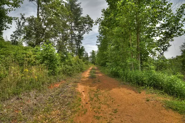 Blue Ridge, GA 30513,LOT 1 Hidden Acres