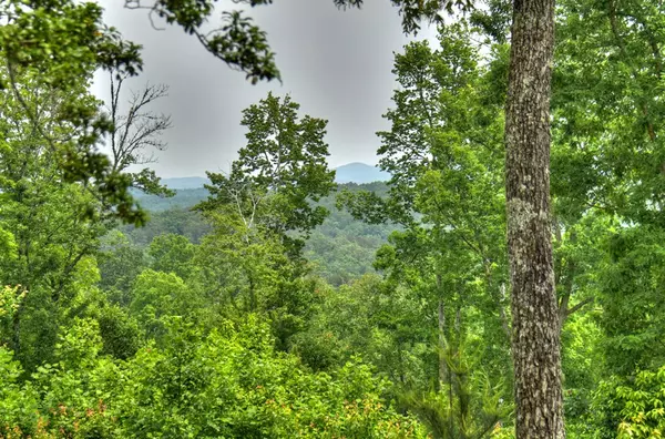 Blue Ridge, GA 30513,LOT 2 Hidden Acres