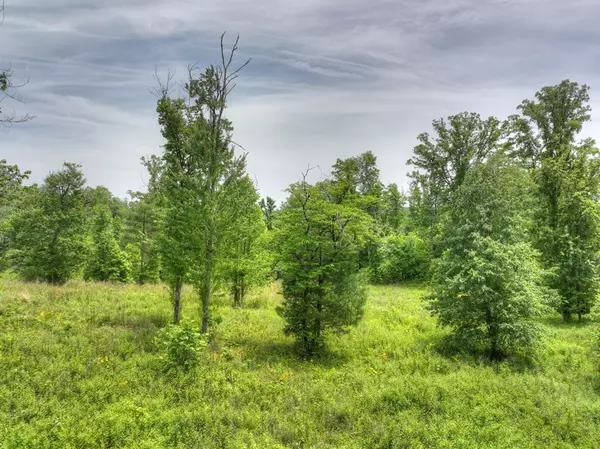 Blue Ridge, GA 30513,LOT 13 Hidden Acres