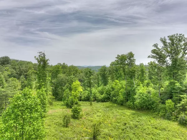 Blue Ridge, GA 30513,LOT 13 Hidden Acres