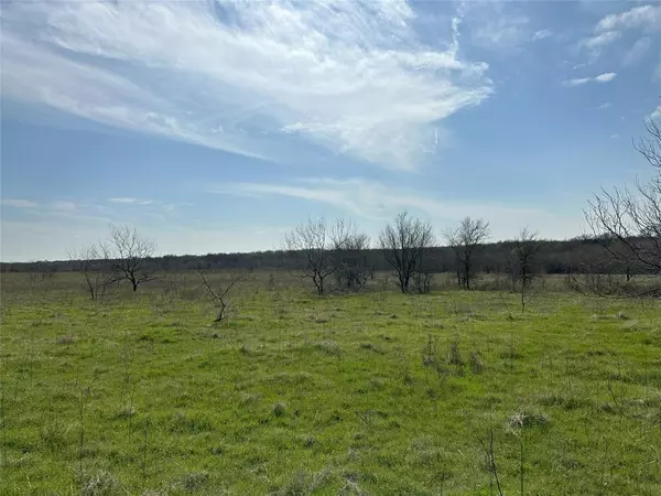 Streetman, TX 75859,Tract 1C (16.69 acres) SW County Road 2360