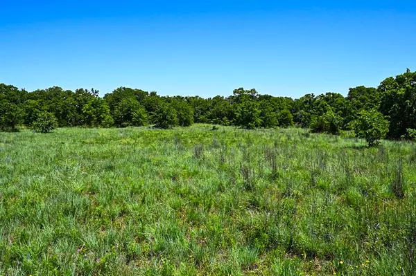 Perrin, TX 76486,TBD2 DPS Tower Rd