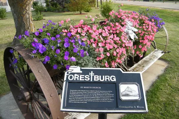 Forestburg, AB T0B 1N0,5104 47 AVE