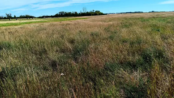 Rural Rocky View County, AB T1X 0H8,225206 Range Road 273