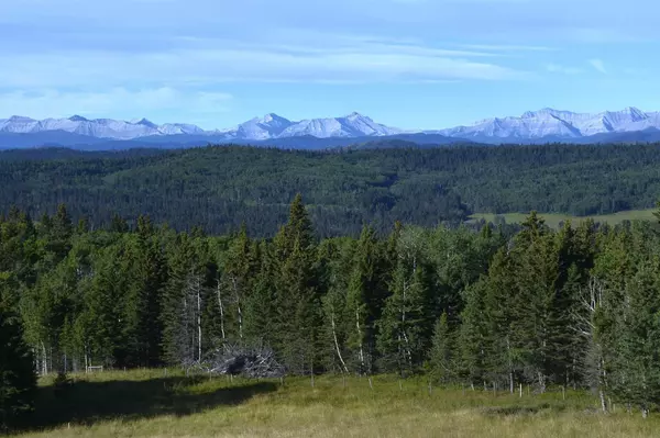 Lot 11 Whiskey Springs HL West, Rural Foothills County, AB T0L 1W4