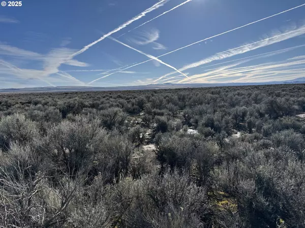 Christmas Valley, OR 97641,Bark LOOP #L-2900